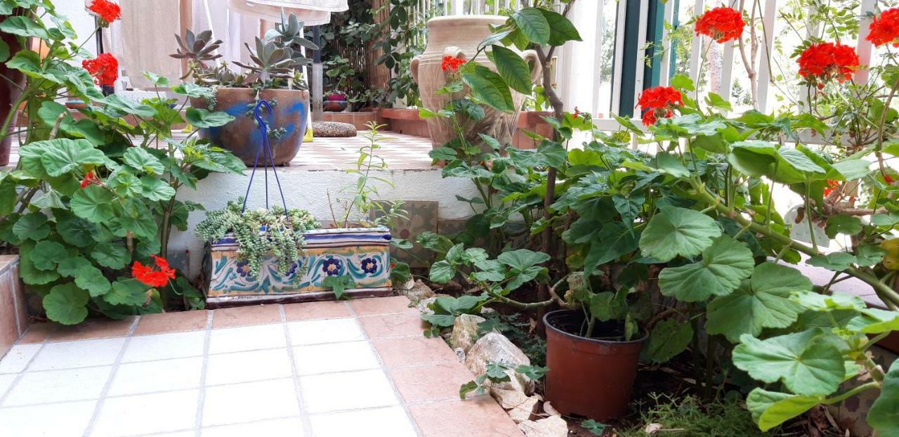 Casa Perciata - Locazione Turistica Apartman Mondello Kültér fotó